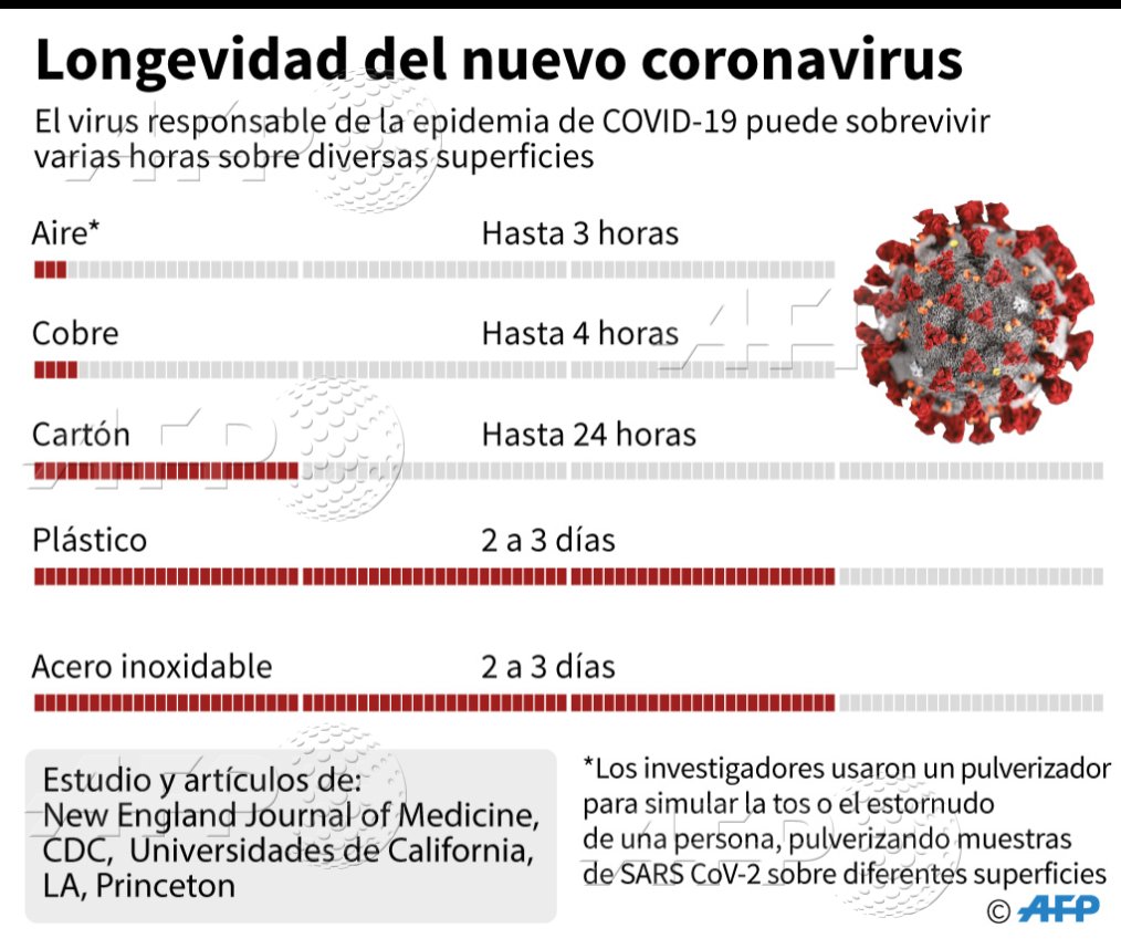 AFPespanol's tweet image. 🦠 La longevidad del nuevo coronavirus en distintas superficies #AFP @AFPgraphics
