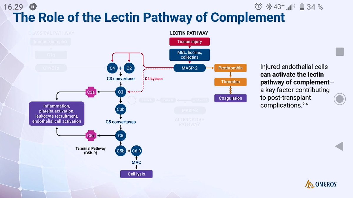 d_kreu's tweet image. Excellent presentation! How big part does the complement system play in this lethal response? Lot of #endothelialinjury with #CytokineStorm and activation of the coagulation system. Seems like it fits squarely w activation of the #Lectinpathway of the #complement system?