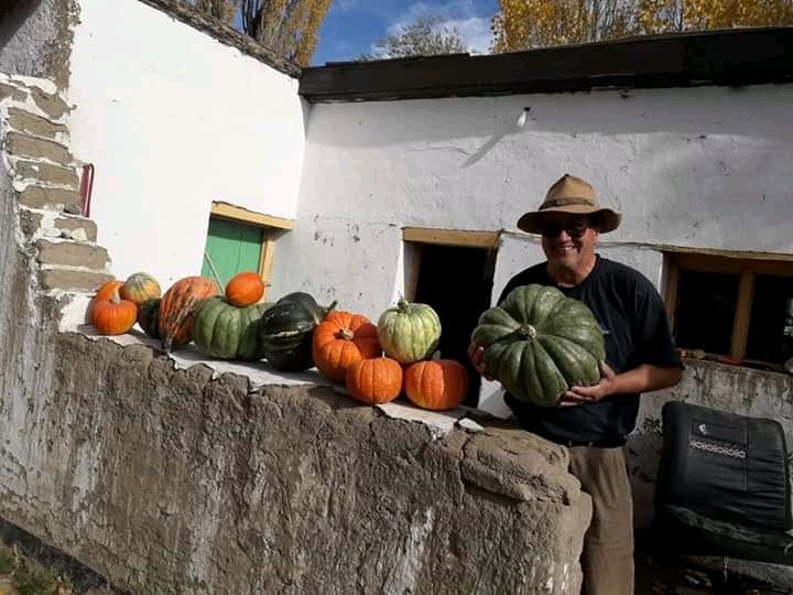 ZulVDiaz2's tweet photo. #FofoCahuel #Cushamen #Chubut
Cosecha de zapallos gigantes en Estancia "La Esperanza".
Donde la pandemia no existe.

Ph: A. Escudero

@grupochubut @ElChubut @fmElChubut901 @Karinasilvatw @MarielTrelew @sofyvillalon https://t.co/KW495ZaGPu