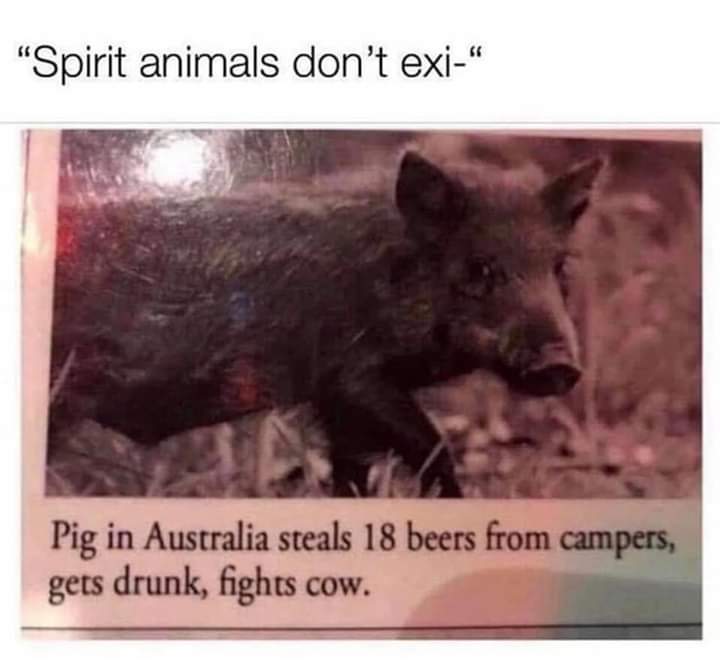mikechappers's tweet photo. If this don't make you think of @James_Buckley playing #jaycartwright then you haven't lived.... https://t.co/b3ALxTv0ZL