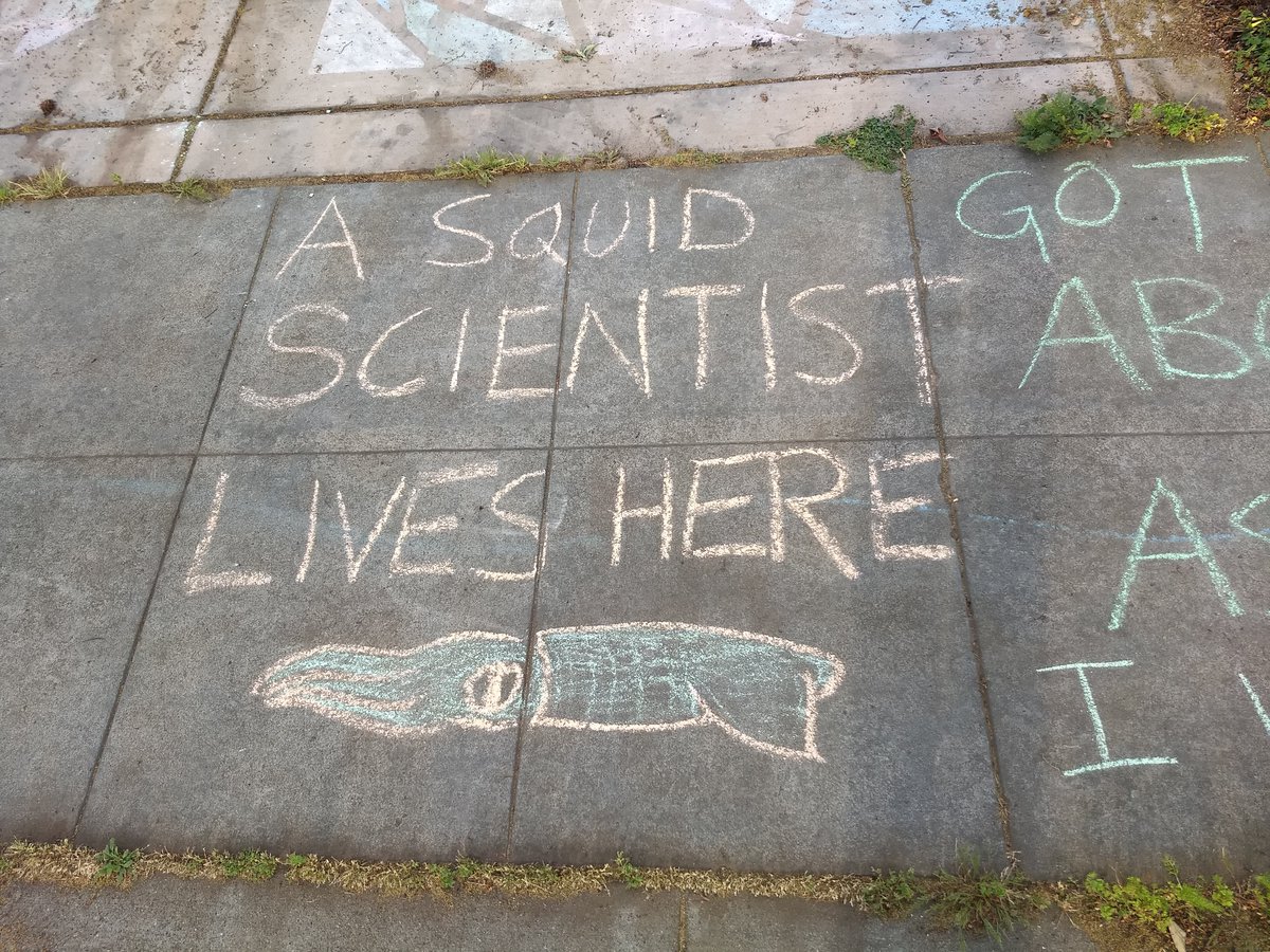 Day forty-whatever of shelter-in-place, I finally got my act together to share squid science with the neighborhood! From each according to her ability . . .