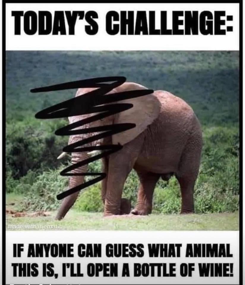 Beitske Visser (@beitskevisser) on Twitter photo 