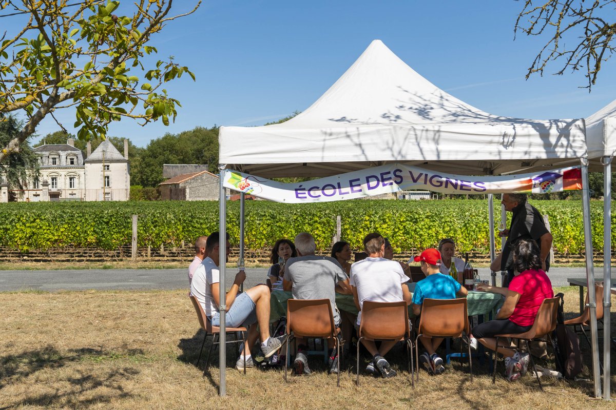 vvrvaldeloire's tweet photo. • #VVR & Vous •
Nous profitons de la #JournéeMondialeDuSoleil ☀️ pour vous partager quelques souvenirs ensoleillés de #VVR19 ! 😁🍇 https://t.co/fqeZO1hDS2