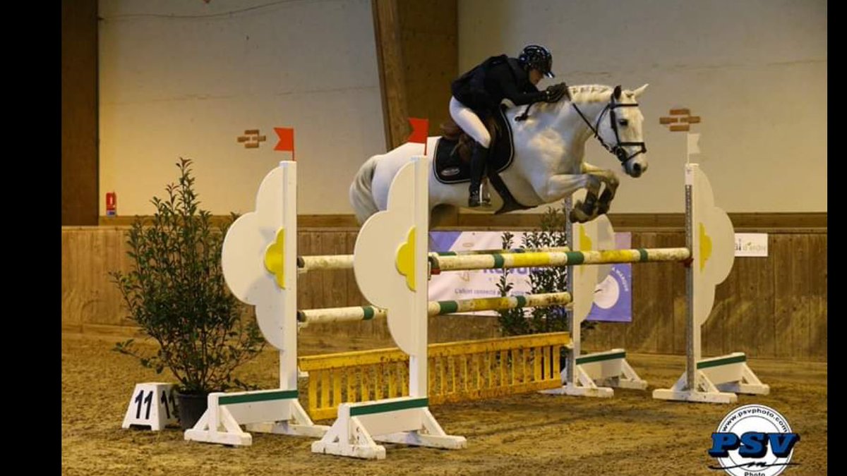 L I S A R E G I S (@liisa_rgs12) on Twitter photo 