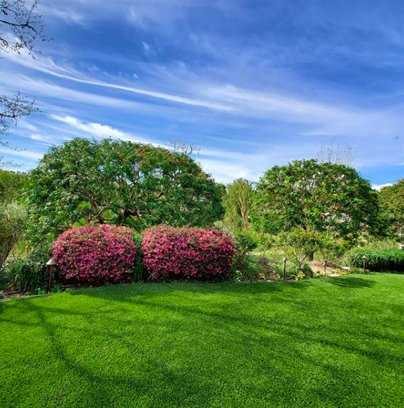 LAsBestTreeSer1's tweet photo. We give you high-quality service, the best tools, the most complete insurance for your safety and the best customer service. 

To get all this, just call us at (424) 404-8557
https://t.co/4WDPZzuDGA

#labesttreeservice #highqualitytreeserviceslosangeles https://t.co/gZ50HU7qve