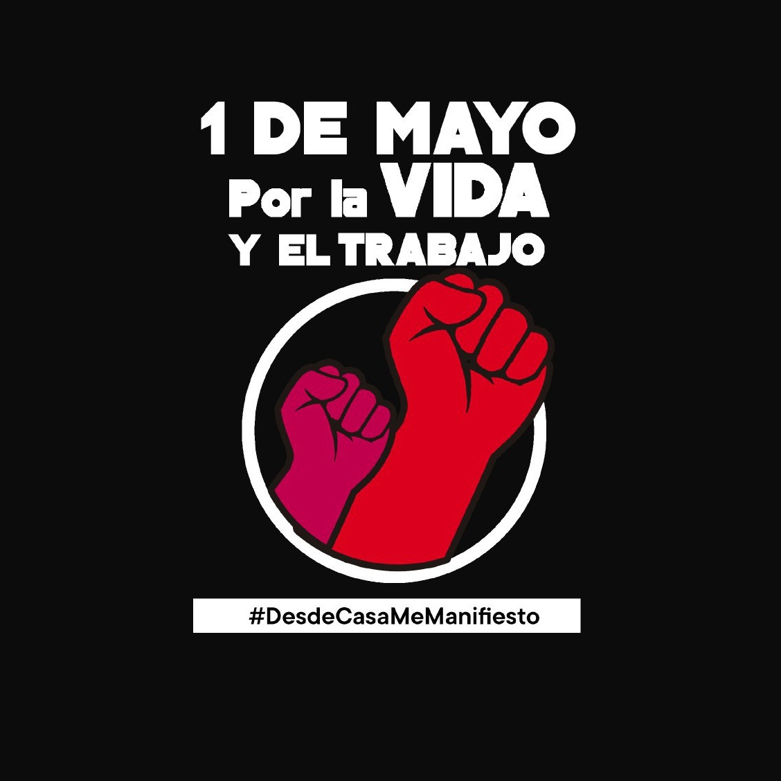 fmlnsantiago's tweet photo. #EnLuchaPorLaVidaYElTrabajo
#DesdeCasaMeManifiesto https://t.co/VDXC4S99Fs