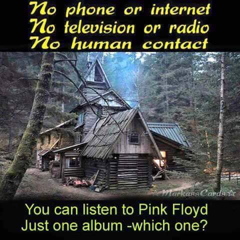 Pink Floyd Polls tweet media