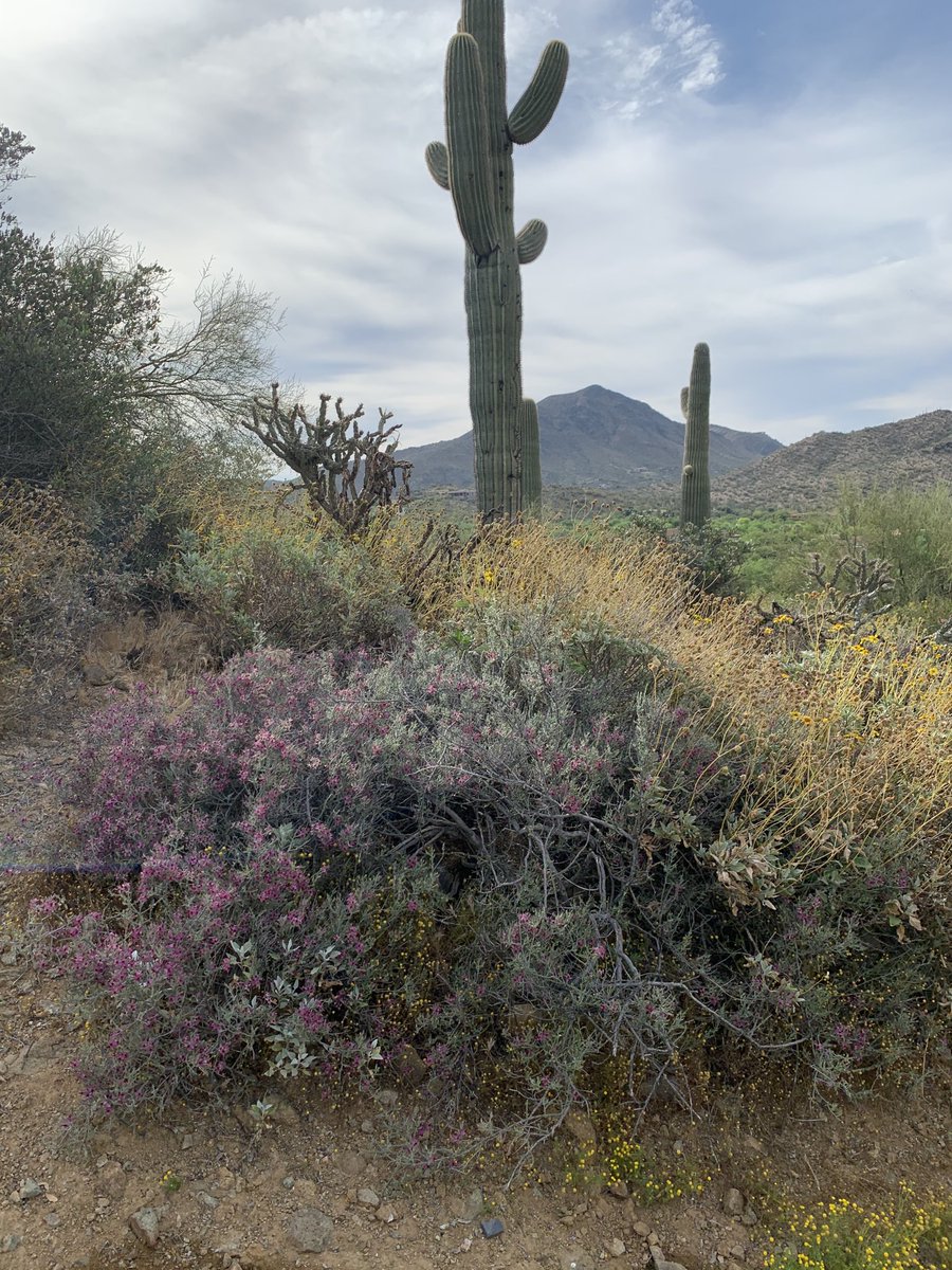 BSBreastCancer's tweet image. #FindYourHappy #6Minutes ⁦@Alanis⁩ #cancer and #pain peeps take 6 minutes for your soul today!