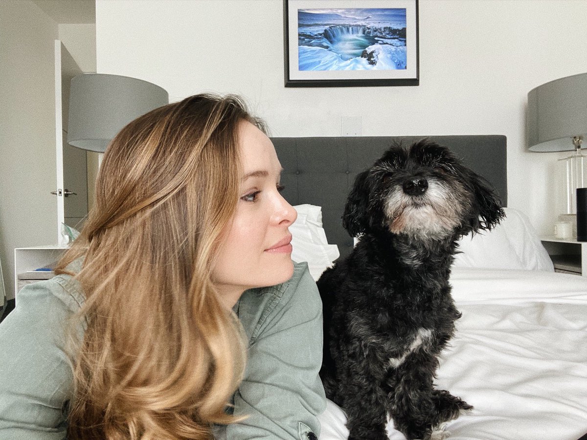 dpanabaker's tweet image. Missing the last few bites of my breakfast, but suspect identified. Happy #adoptashelterpet day!