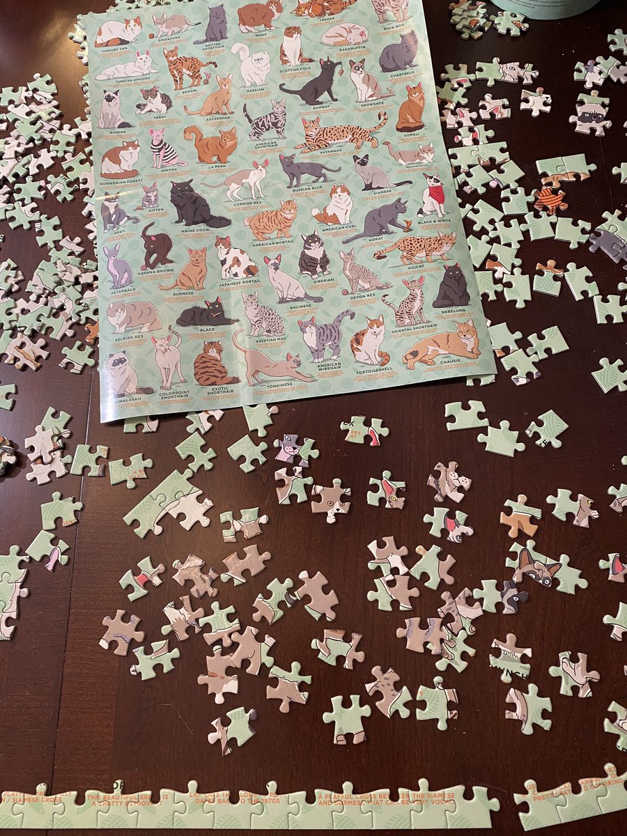 MimiWong_05's tweet photo. Puzzling Thursday. I finished one two weeks ago and just started a new one. @kahlacodeteach @LeslieFisher9 #kahlaFlexibleandFluid #kahlaFluidandFlexible #CFISDspirit #parismetro #typesofcats https://t.co/K1Y1qSfSyn
