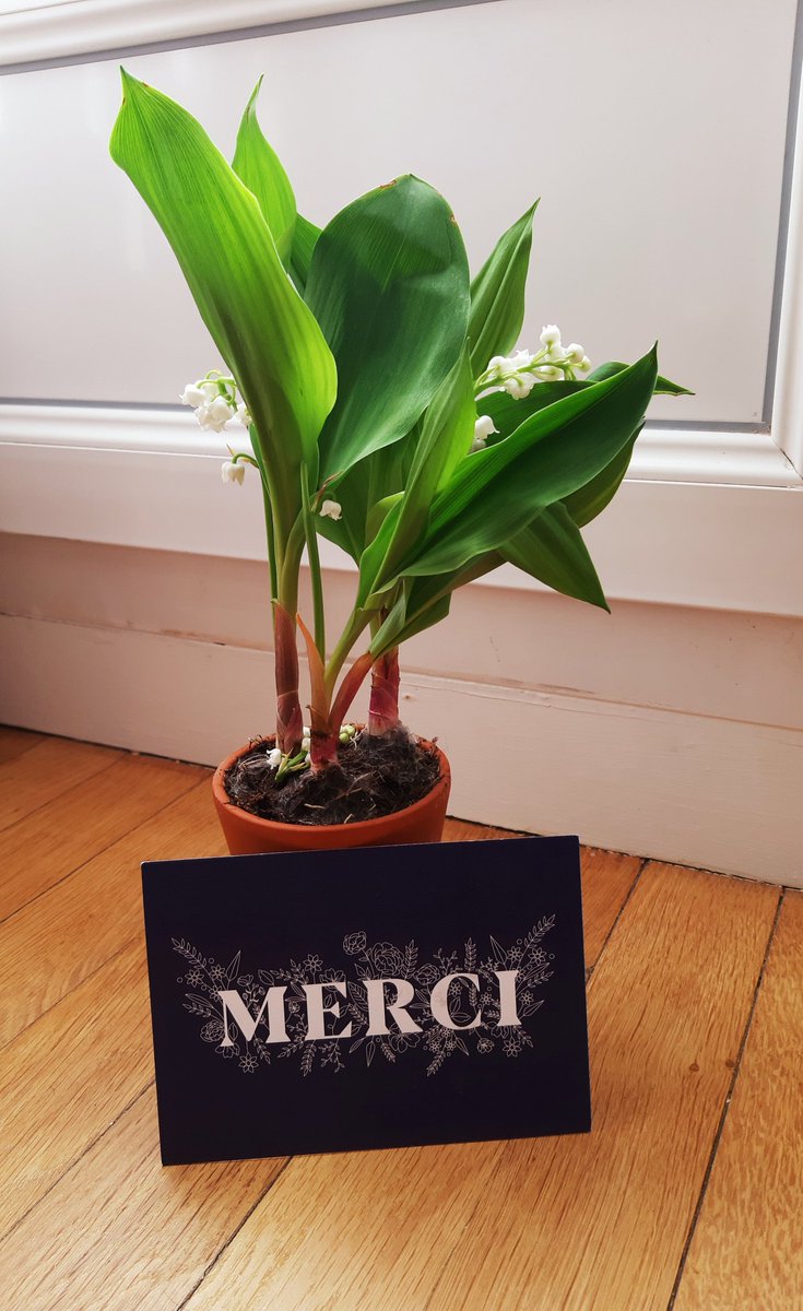 Anais_Botton's tweet photo. Merci la @AXA_Banque team pour ce joli brin de muguet !!!! Une très belle attention :) https://t.co/EK7LldjEmB