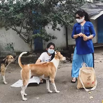 iSachinSrivstva's tweet photo. They usually have to rely on roadkill & other carrion, as well as discarded human food, in order to survive. They will be accustomed to humans providing food & water & may struggle to find these things on their own
We can help
https://t.co/YttoMBNai9
@GoogleNews @myboxerluvmac1 https://t.co/wRZSjJNxTc