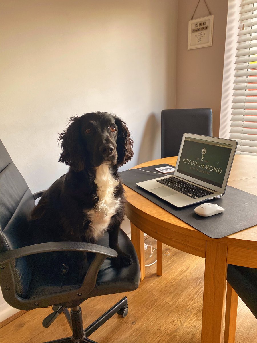 Key Drummond - Oakdale tweet media