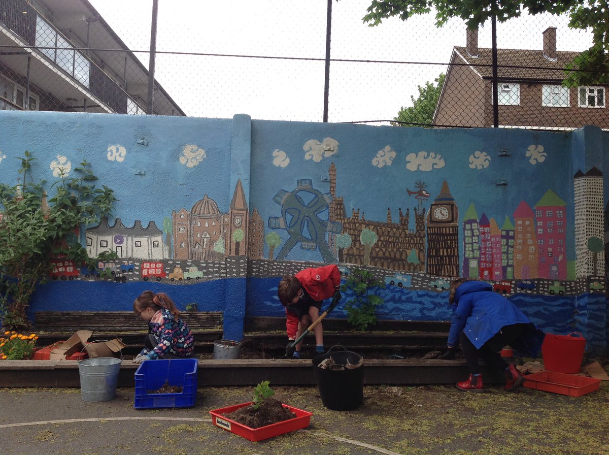 BenthalSchool's tweet photo. Ms Laux’s gardening group were busy in the EYFS playground, this afternoon. #creatingirresistiblelearning #outdoorlearning #schoolgarden https://t.co/lS5G1ICHZf