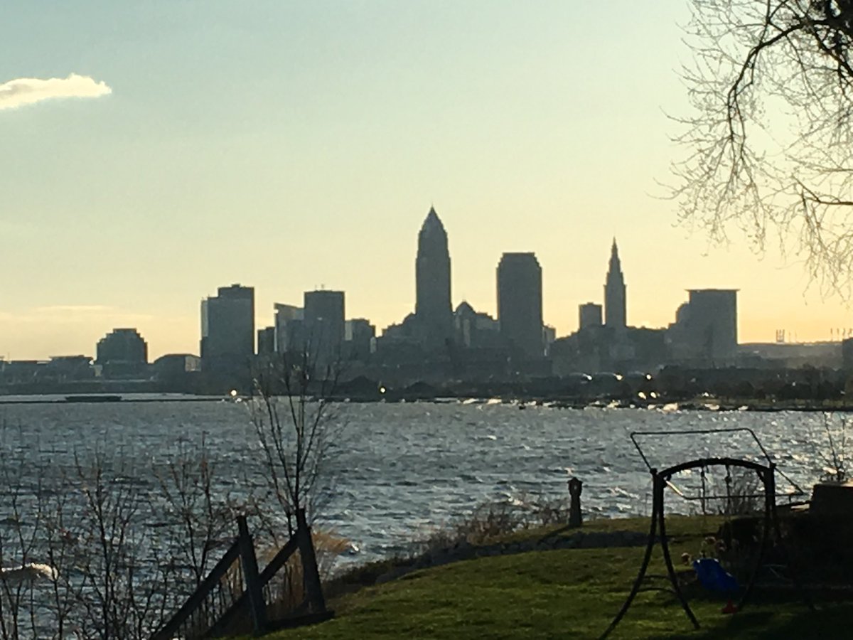 Mark Ross tweet media