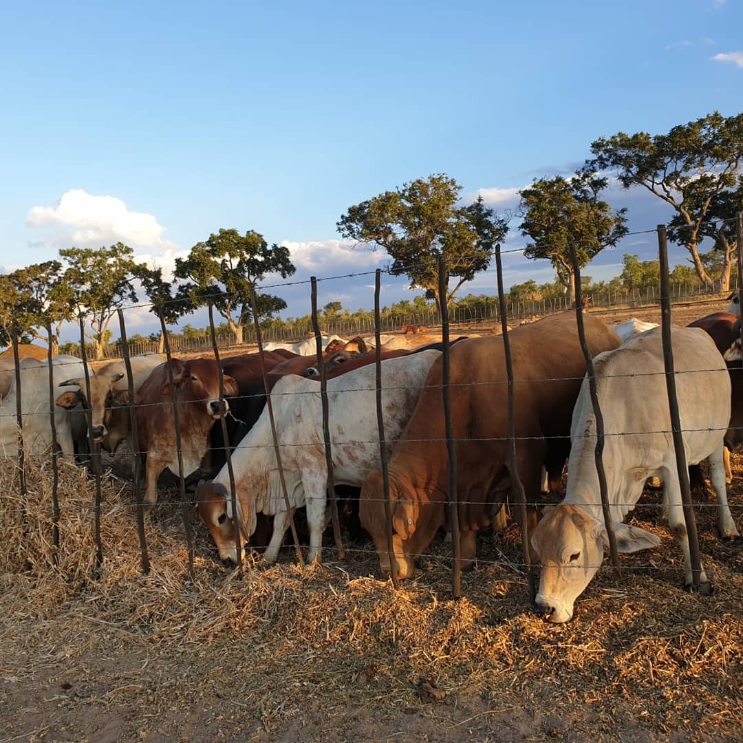 Hlengiwe_Mt's tweet photo. Today I visited the farm of an amazing woman. To become a successful farmer despite the odds being stacked against her is truly an inspiration. My hope through @table_girls is to introduce you to such women so you can be inspired to realise &amp; engage the lioness in you.#GirlsTable https://t.co/9WCJujRwEB