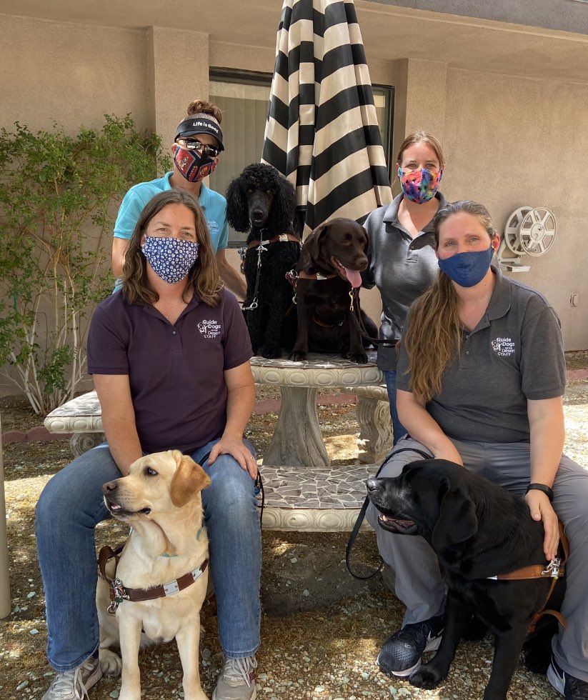 gddca's tweet photo. Happy International Guide Dogs Day https://t.co/xnIlVQglcl