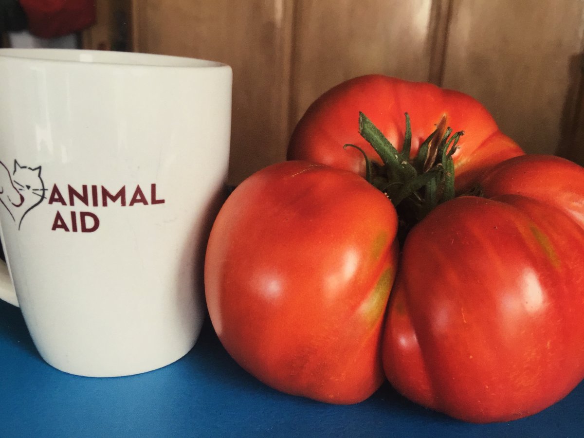 Animal Aid tweet media