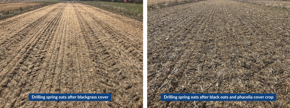 Agrovista UK tweet media
