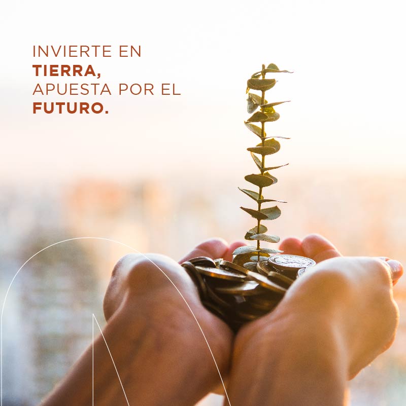investti's tweet photo. En Investti planificamos y diseñamos nuestros desarrollos para ofrecerle a tus proyectos valor y rentabilidad. Los mejores proyectos inmobiliarios merecen la mejor tierra.
#terrenos #inversiones #inmobiliaria #Querétaro #lotes #macrolotes" https://t.co/UfdXRQVs8E
