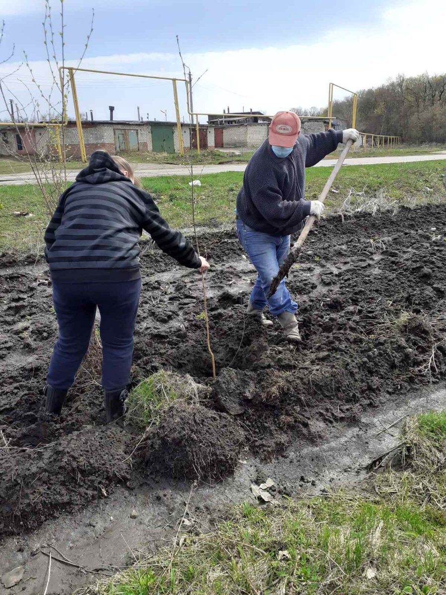 Александр Криушев tweet media