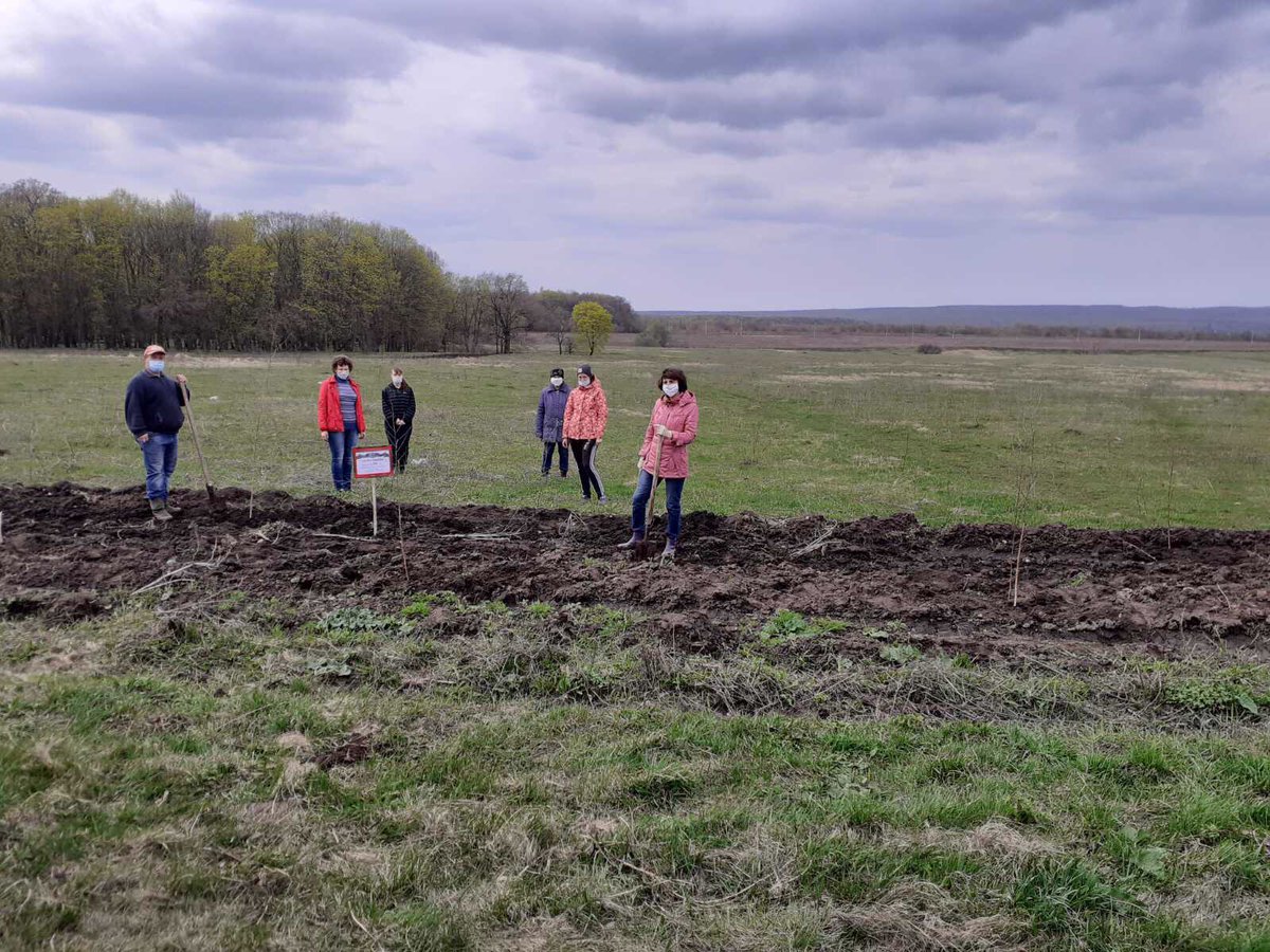 Александр Криушев tweet media