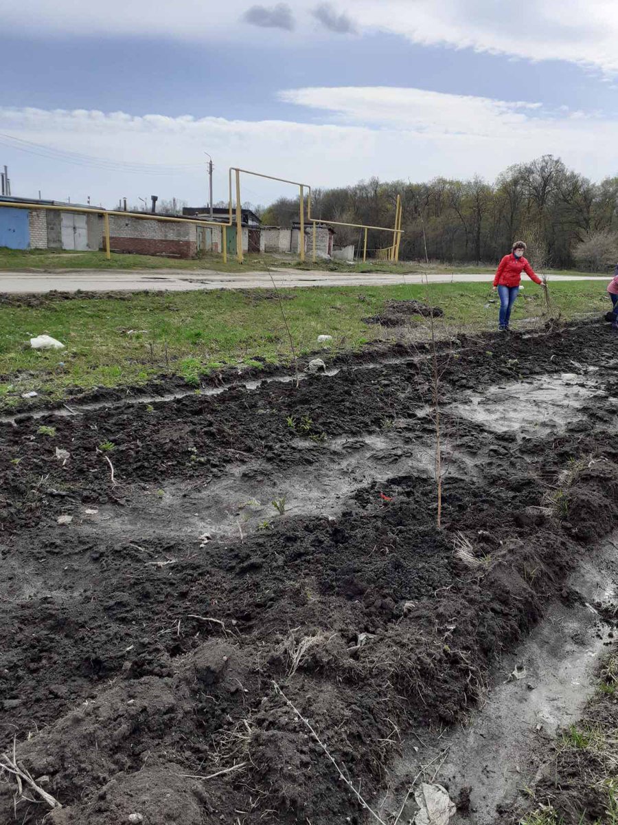 Александр Криушев tweet media