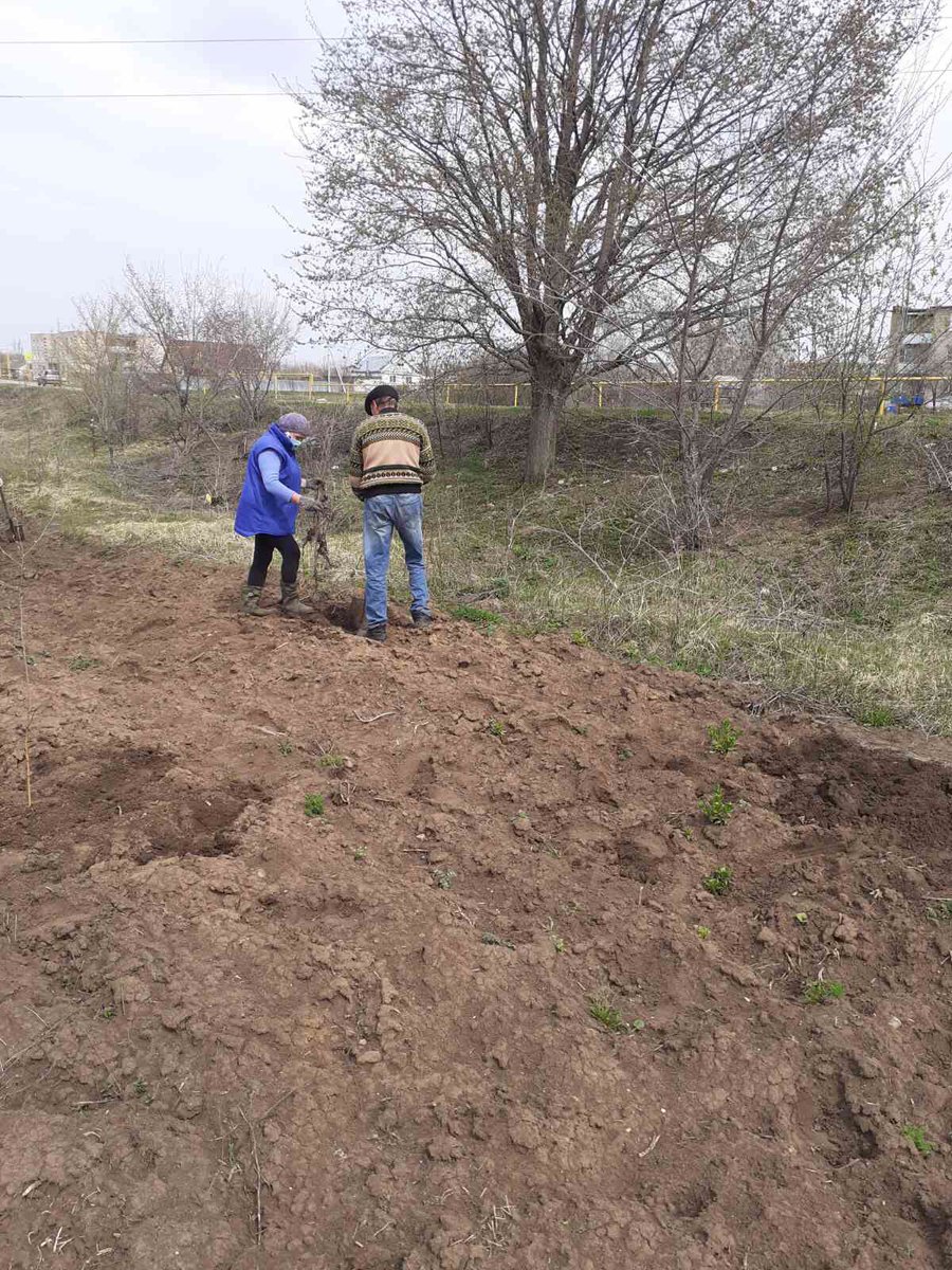 Александр Криушев tweet media