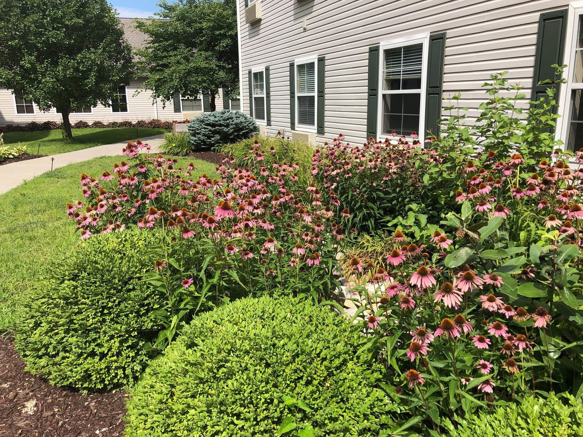ParsonsHouseNE's tweet photo. We just love sharing photos of our beautiful courtyards. 🤗 What a gorgeous day for our residents to spend some time outside! https://t.co/pxkT5l25oN