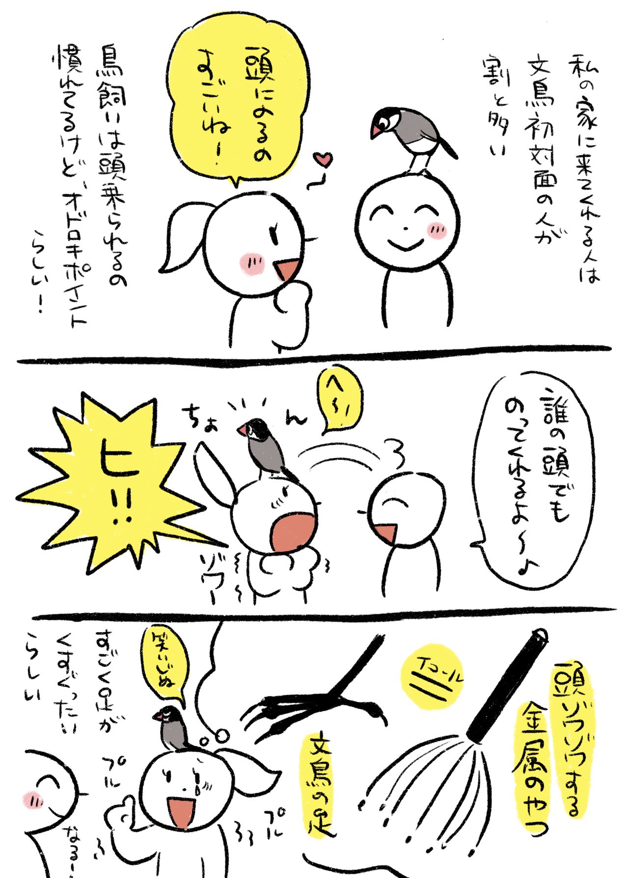 こめち ゆう 文鳥の足がくすぐったい T Co Bkbiuymuhl Twitter