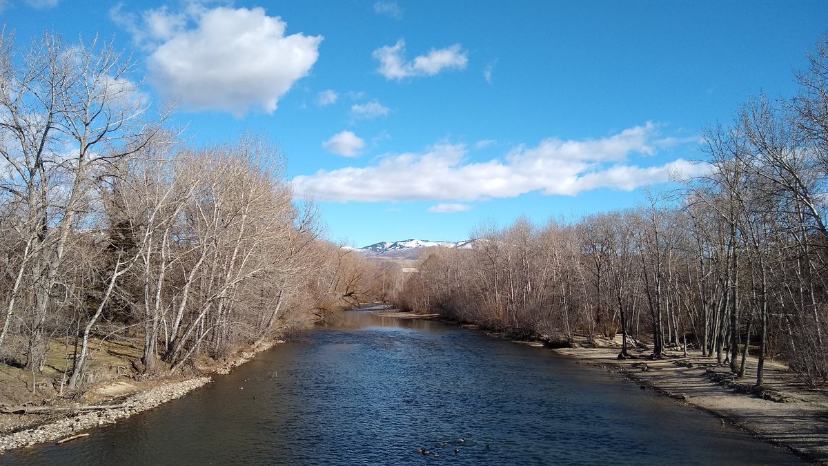 BSULibrary's tweet photo. How about more photos to use as backgrounds of #BoiseState & the gorgeous #BoiseRiver? Here you go! #Boise #Zoom #GoogleMeet #AlbertsonsLibrary ^MC https://t.co/pvehhfA9Qr