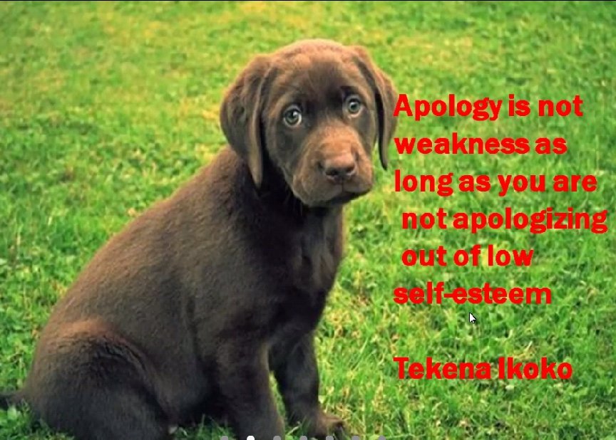 mouldafrica's tweet photo. #getUNLEASHED #apology #tekenasays @tekenaikoko https://t.co/rZUTBb4cPq