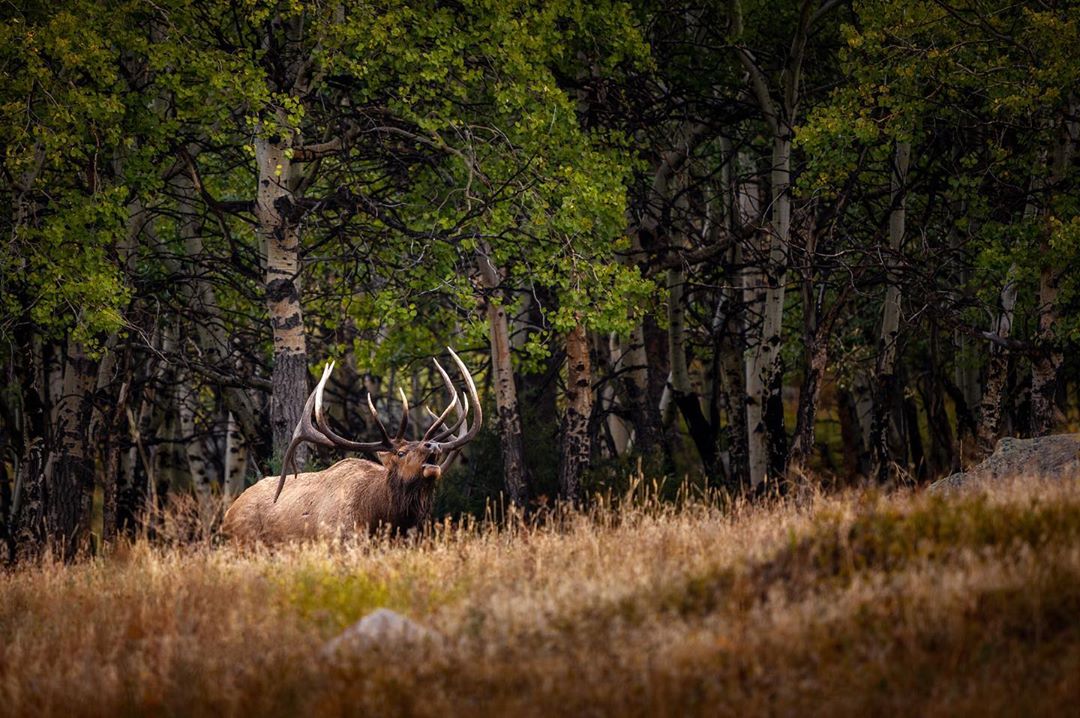 Picture perfect
-
 📷@creekbedphotography