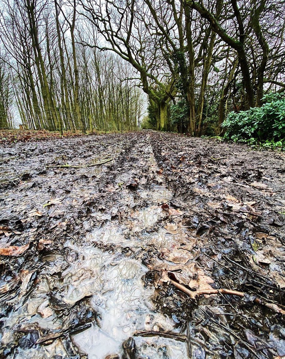 Explore 4x4 tweet media