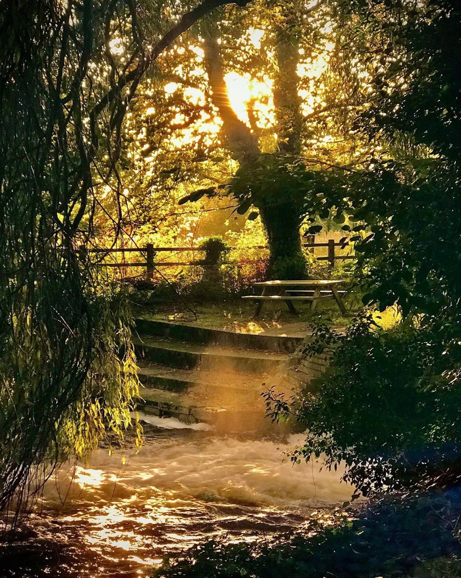 Explore 4x4 tweet media