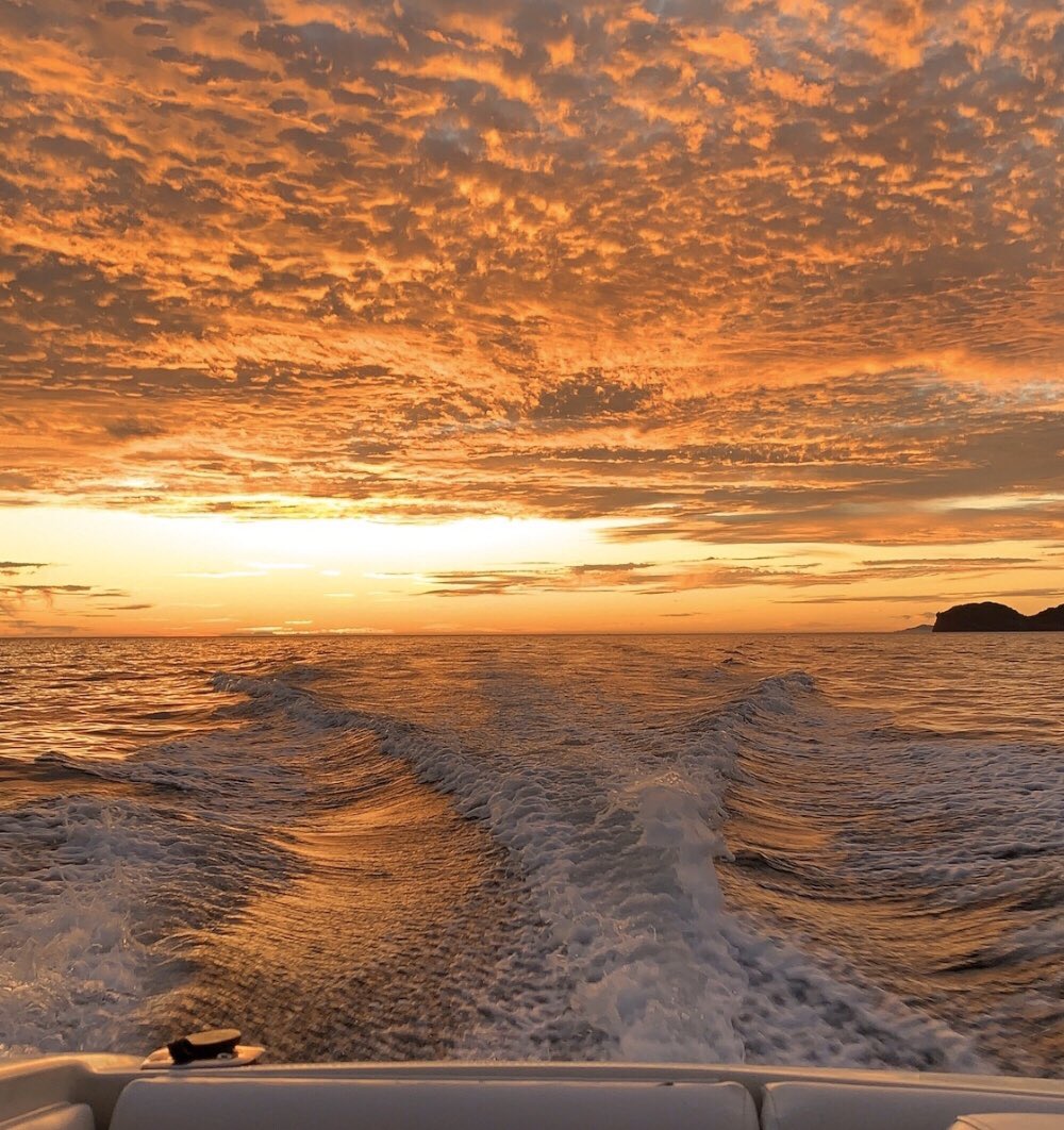 satingoldsand's tweet photo. weeks by the water https://t.co/7SrK76P0d3