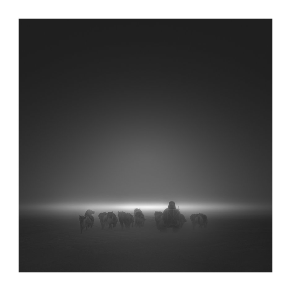 patrickemsphoto's tweet photo. CHASING THE LIGHT

#PatrickEmsPhotography #PatrickEms #VisualDecadence #FineArtPhotography #art #bw #fineart #greenland #grønland #north #cold #ilulissat #ilulissaticefjord #icefjord #ice #arctic #diskobay #qaamaneq #greenlanddog  #greenlanddog #dog #sledgedog #69north https://t.co/lR53wHXq7q