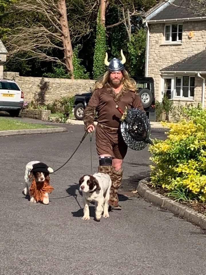 Steve’s a Viking got his dog walk today!  He’s not giving up!