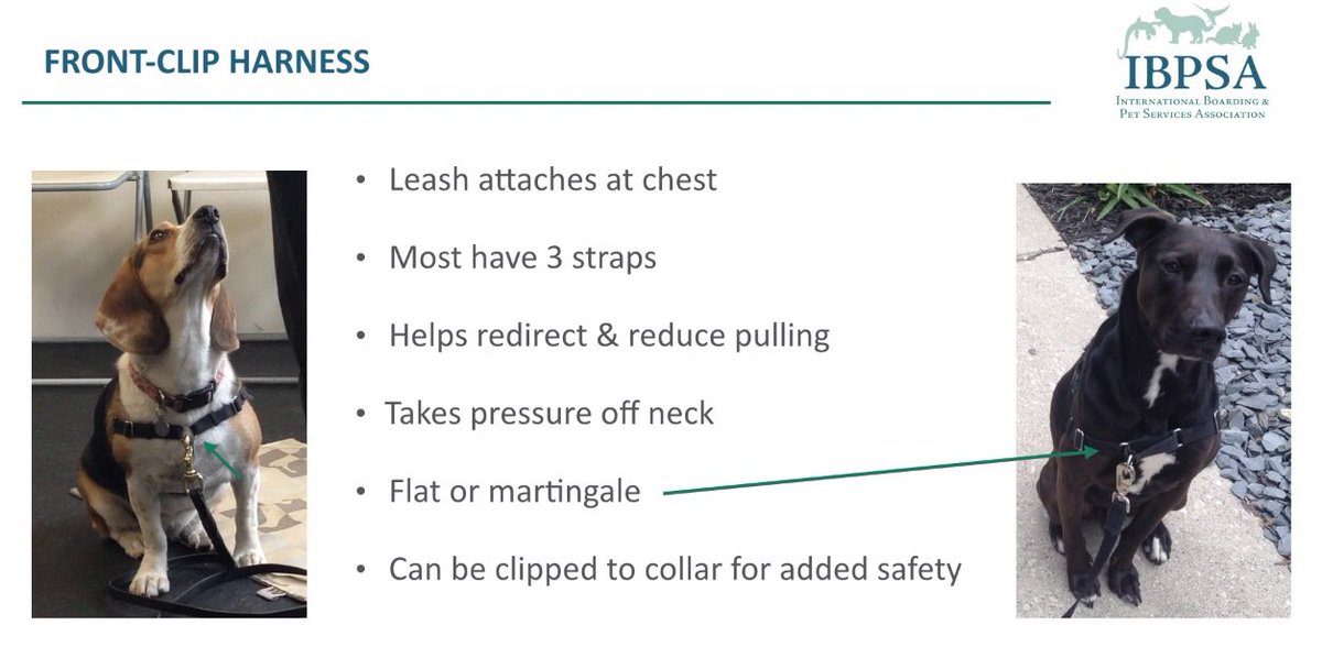 allies_weeney's tweet photo. So I’ve been watching a bunch of training videos about dogs, dog boarding, dog behavior, dog first aid, etc. Literally everything dog related. So, there was a section all about harnesses (see photos below). https://t.co/wQASRPZp8j