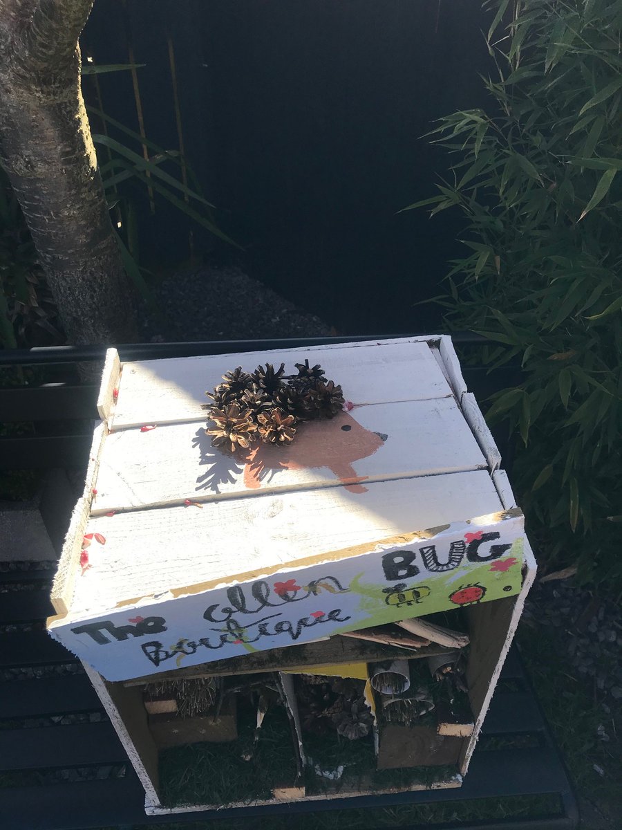 OlqopPrimary's tweet photo. Philippa and Thomas have been making incredible bug houses #architectsatwork #createdtoflourish #StayHomeStaySafe https://t.co/xLac0jwQsa