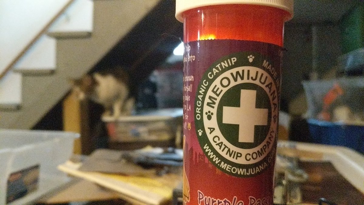 Day 1/7 of something day in the life I really need to reread that tweet but hey no people or something. Wow. I was told to to the thing by <a href="/silenteyesvier/">😜😜</a>. I swear I will reread that #challengething