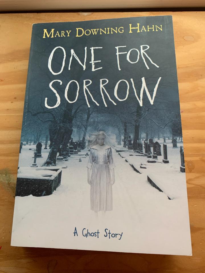 Sisters in 6th grade Yellow cluster and 7th grade Orange cluster cannot get enough scary stories. They recommend ONE FOR SORROW by Mary Downing Hahn. #RIReadsatHome #SLRIReadsTogether <a href="/BmsLimeCluster/">BMS Lime Cluster</a> <a href="/bps_ri/">Barrington Public Schools</a> #bmsshines #bmsreads