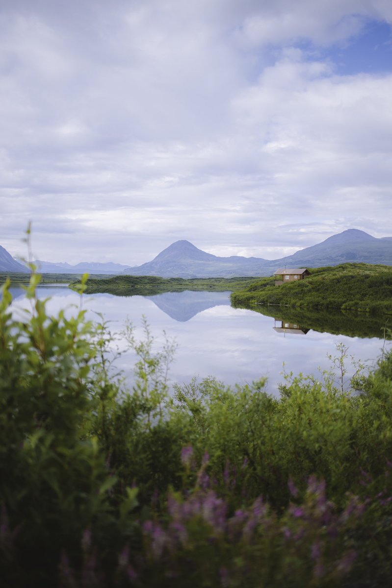 johncwingfield's tweet photo. alaskan summer https://t.co/CfHu6AIn5F