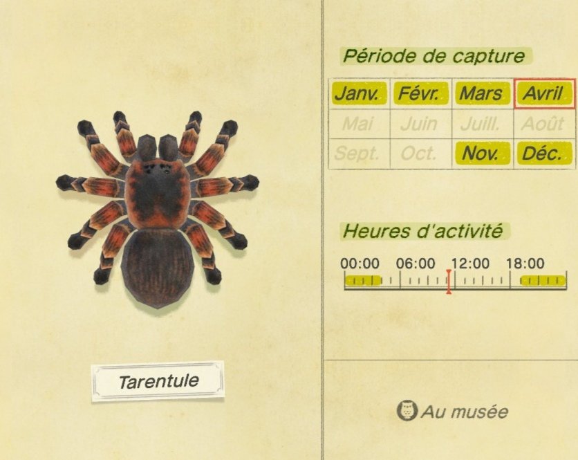 Animal Crossing New Horizons Fr Cote Poisson Rendez Vous Sur Le Ponton Pour Prendre Le Thon T Co Dreghpcamr Twitter