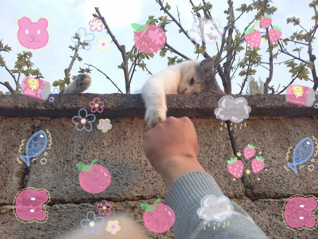 / happy may~ ʕ•ᴥ•ʔ
pls be kind to me and everyone around me :•)