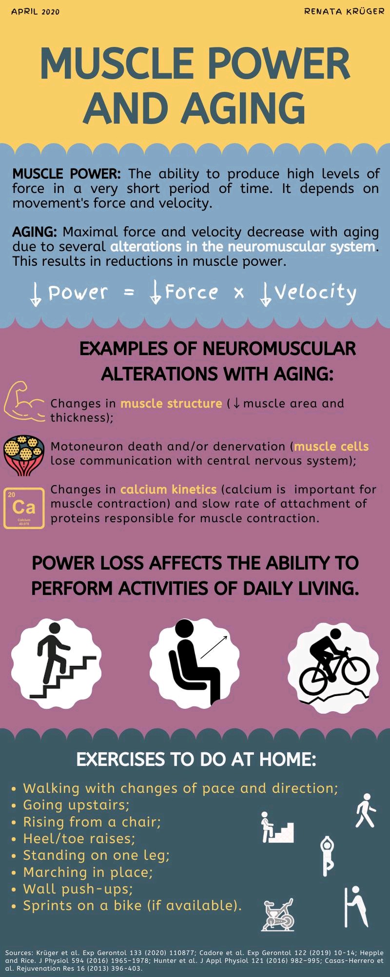 Infographic on muscle power and aging