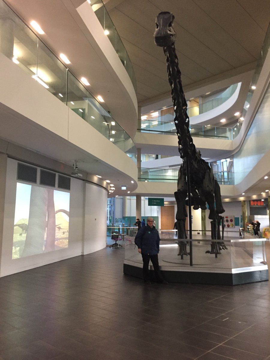 Our_Jo's tweet photo. @DippyOnTour Me at work and my friend, TOG @HellenBach who really got into the spirit of all things Dippy!! #DippyOnTour #Rochdale #DippyMeetsDippy https://t.co/UJ4PwzqGOF