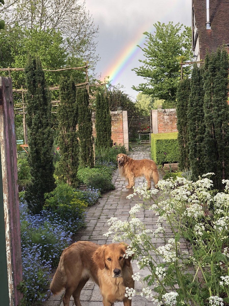 Every cloud has a silver lining