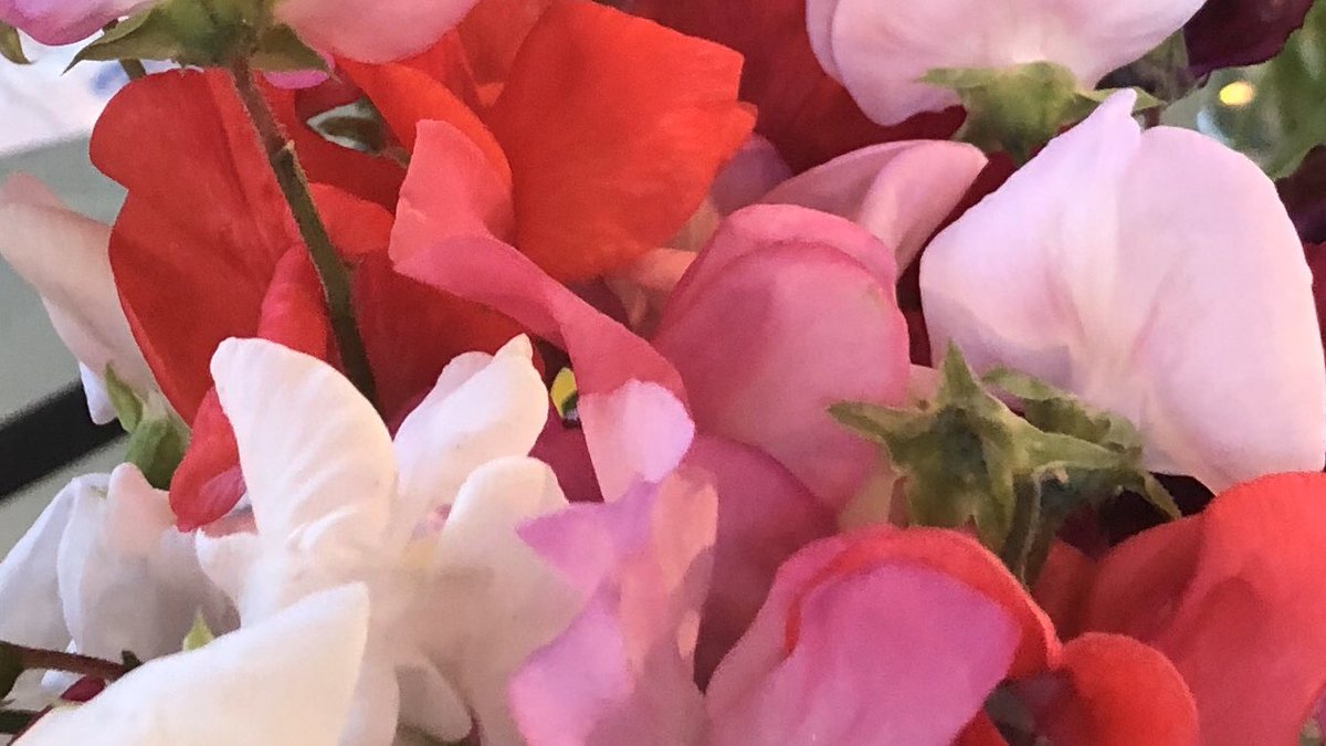 My uncle died at the weekend of Covid-19 😢. It’s driving me batty that some people aren’t practising social distancing. I’m glad we are past the peak but keep your f*cking distance. It’s essential if you want to avoid a second spike &amp; even more misery &amp; upset. #DailyBriefinguk