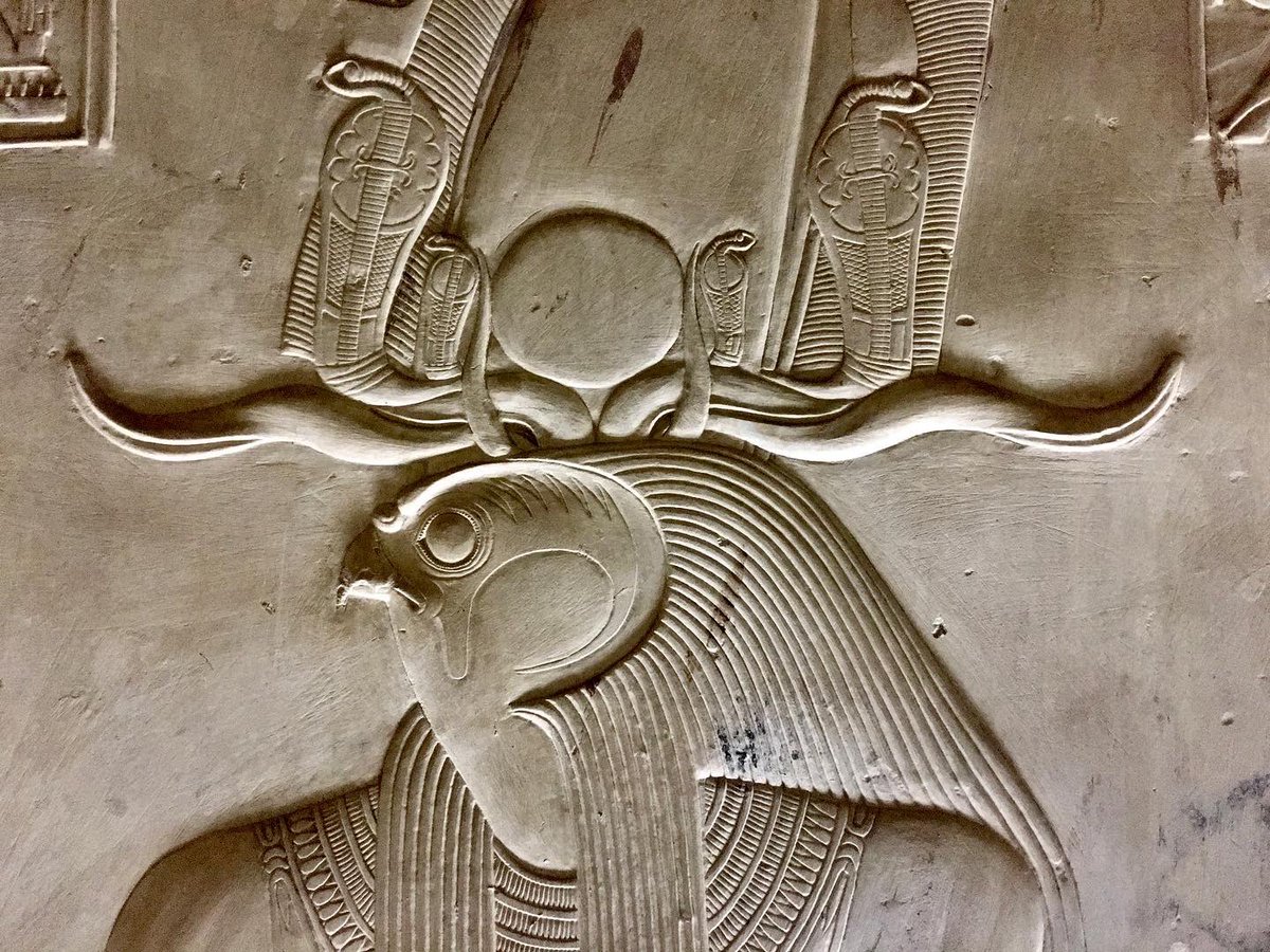 Dr Chris Naunton tweet media